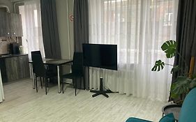 Apartment Artynova 29
